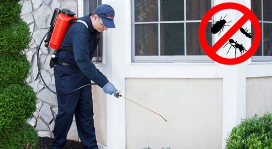 Tepebaşı Böcek ve Haşere İlaçlama böcek ilaçlama ve haşere kontrolü — ilaclama-tr.com